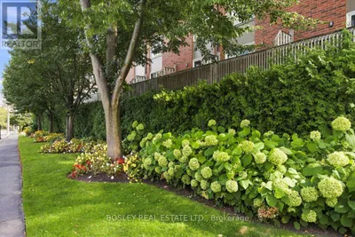 3 - 64 OLD MILL TERRACE